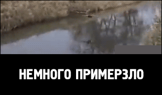 1506247152_14.gif