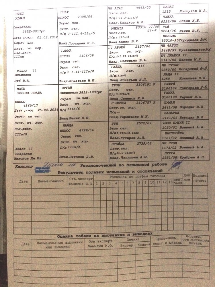 FullSizeRender (2).jpg