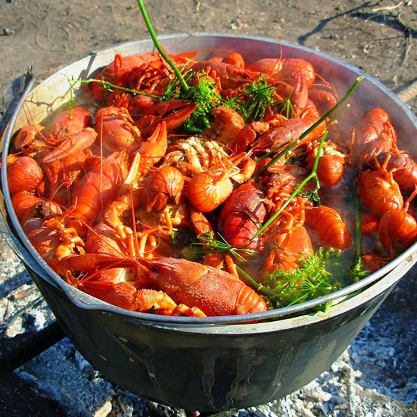 image (1).jpg
