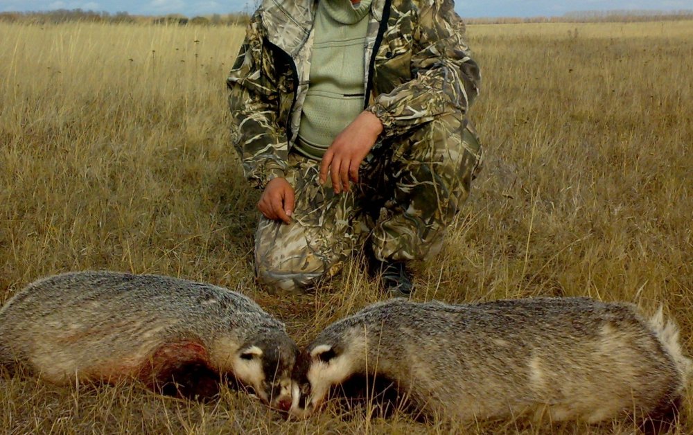 ыфвфывфывыфв - копия.jpg