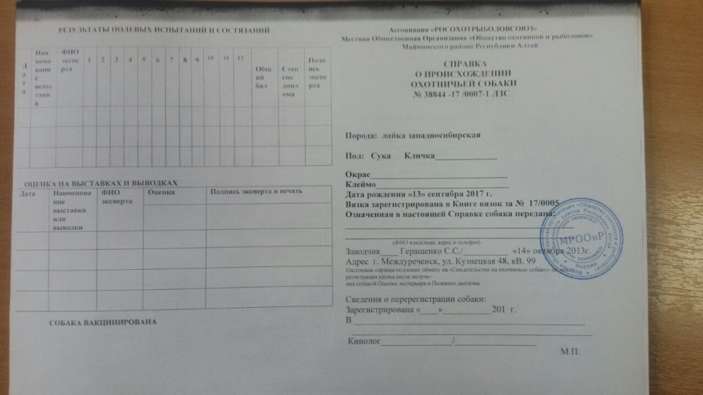 IMG-20171006-WA0000.jpg