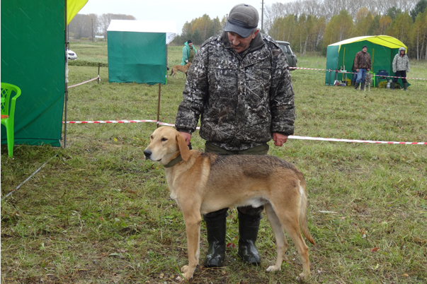 башур вараксинDSC02136.JPG