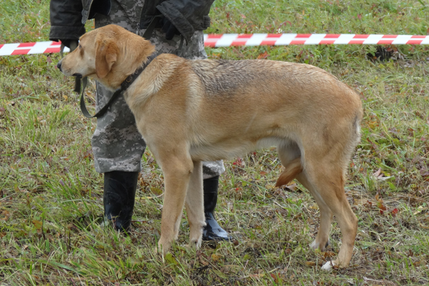 Плакса ВараксинDSC02145.JPG