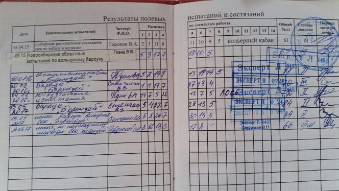 Диплом Тирон 2.jpg