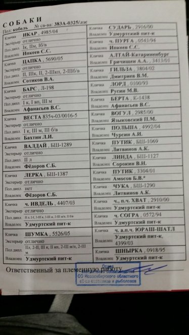 Родословная Тирон 1.jpg