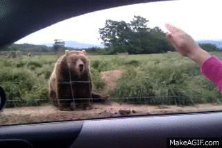 1507274990_09.gif