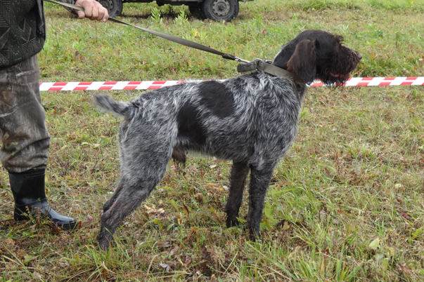 альф DSC02110.JPG