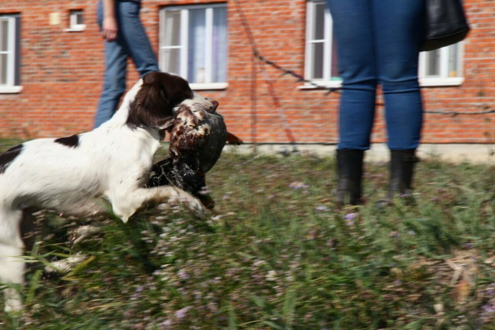 E7E5DCFC-50F5-4AFF-A165-A0422F992572.jpeg