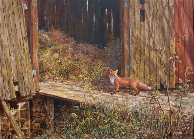 лиса в подворье.jpg