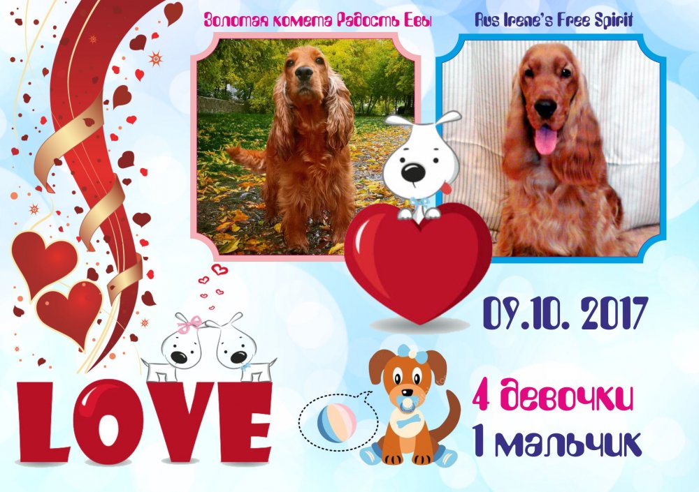 реклама собаки.jpg