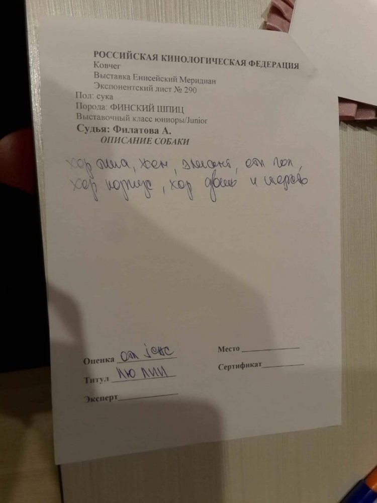описание.jpg