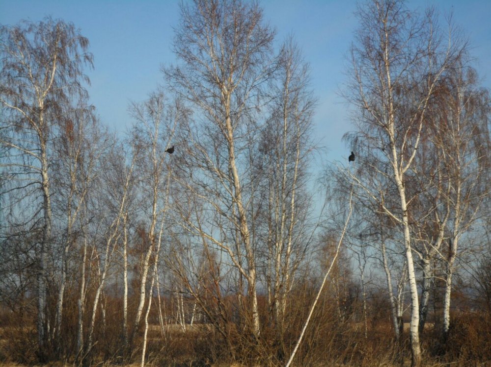 IMG-20171113-WA0007.jpg