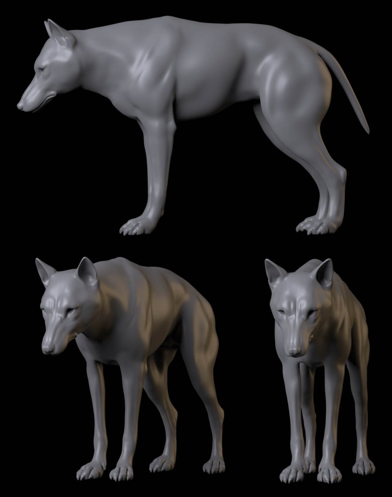 wolf_ac.jpg