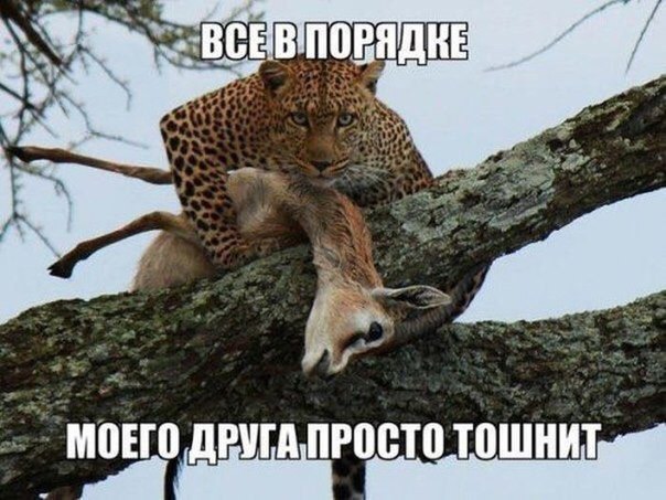 31FAEC1C-4CC6-4677-B6FC-166F04B5B76A.jpeg