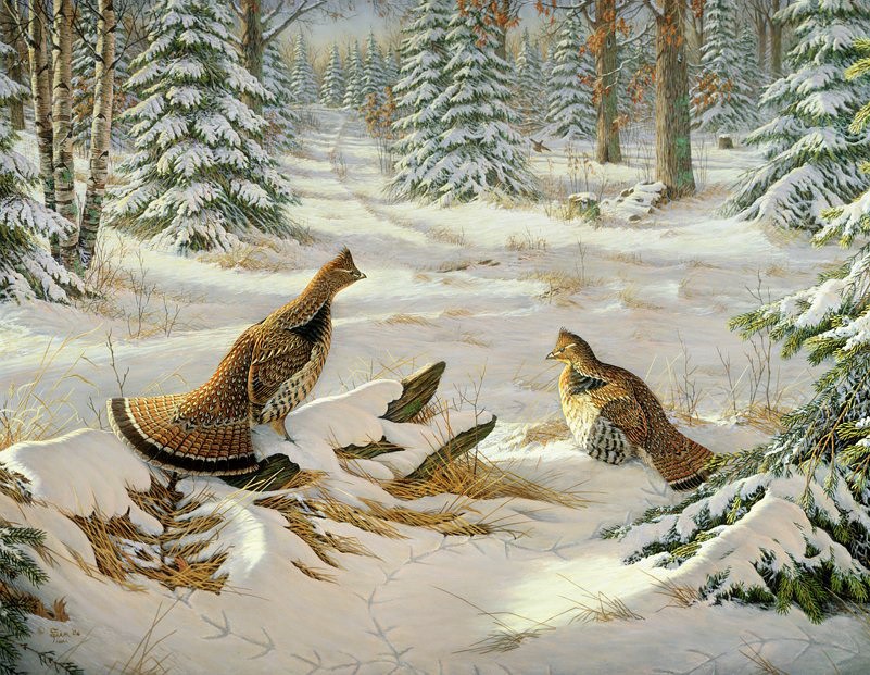 1353781292_4.jpg