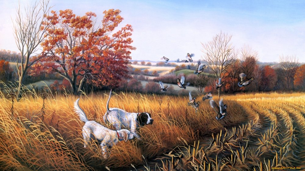 bird-dog-country-risovannye-john-eberhar-670988.jpg