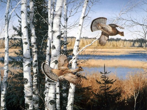 duck-painting-animal-20-screensaver.jpg