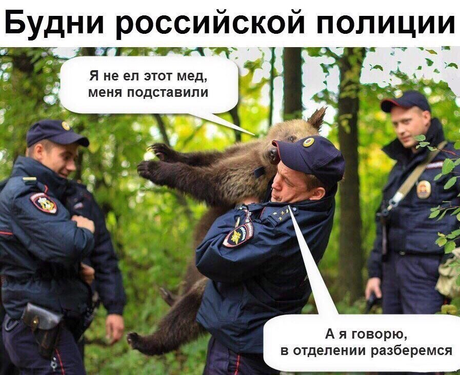 Смешные будни картинки