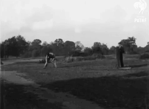 1510563403_12.gif