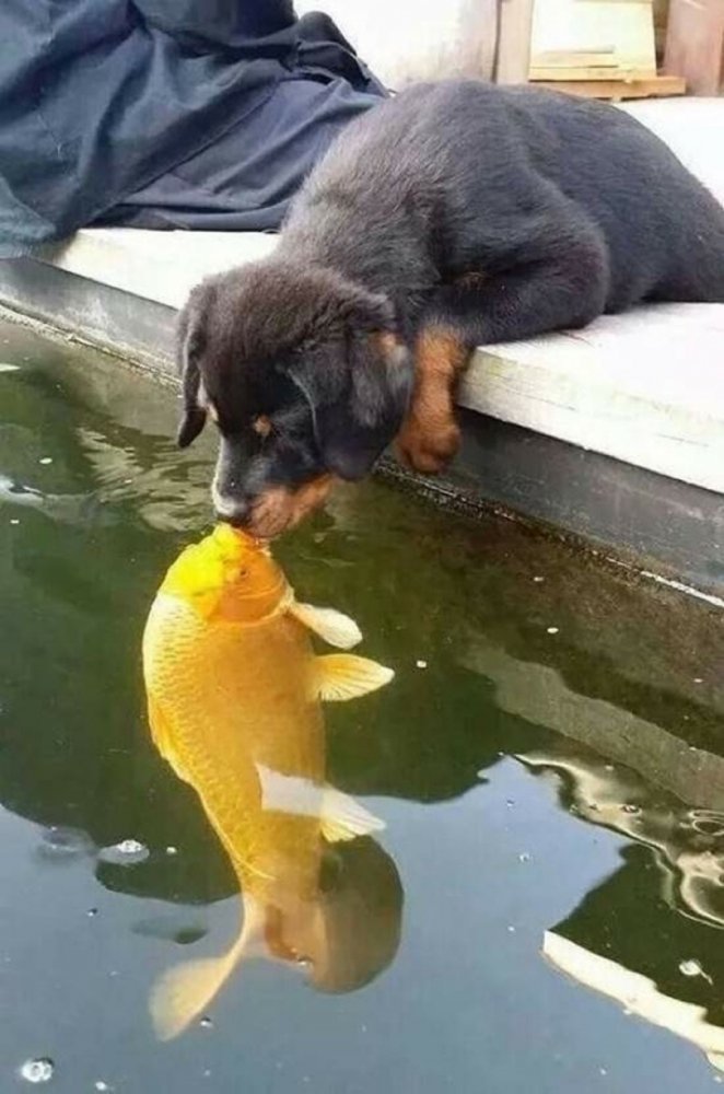 71bbaf0bbedecd8e3ec5aa90f674a91f.jpeg