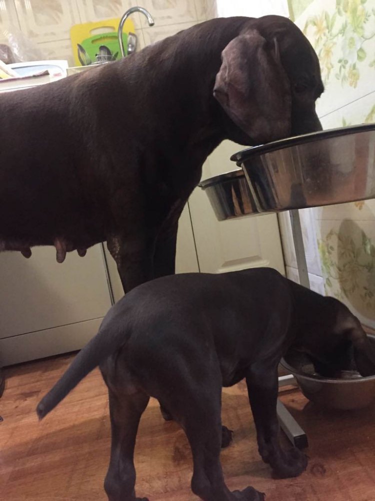 WhatsApp Image 2017-12-07 at 10.06.04.jpg