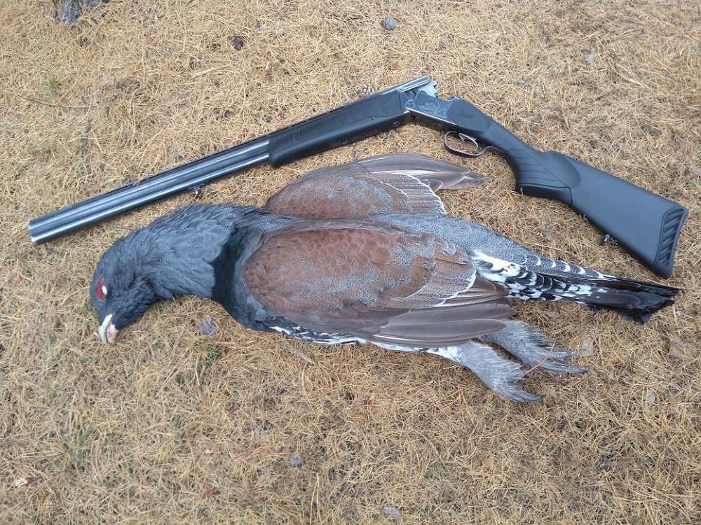 IMG_20171029_121246 123.jpg