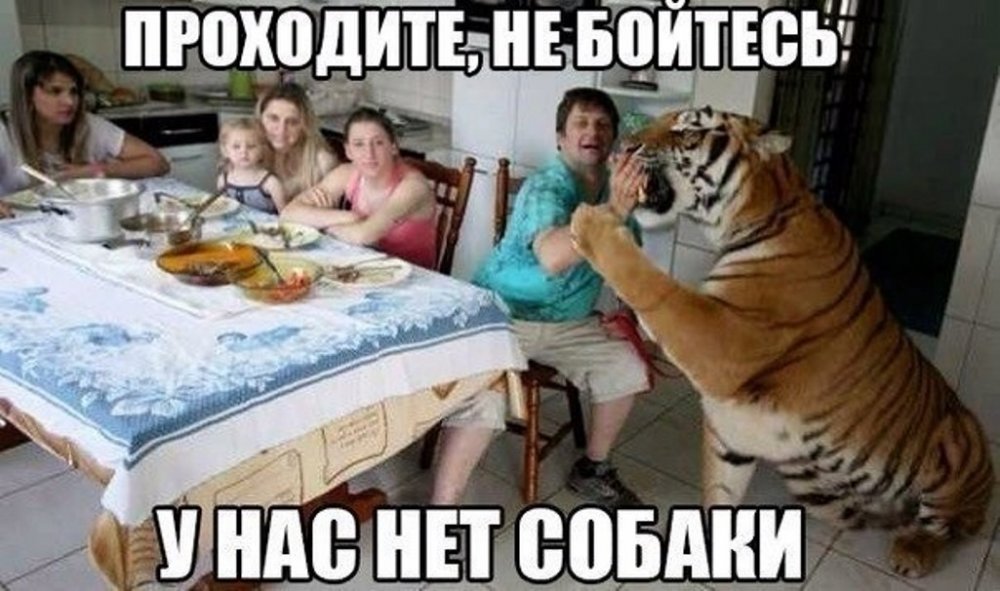 275537-6d000-82043046-m750x740-u700aa.jpg