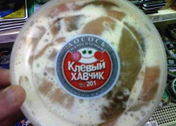 funny-pic-010.jpg