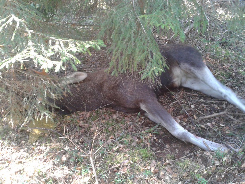 2014-09-21 12.39.16.jpg