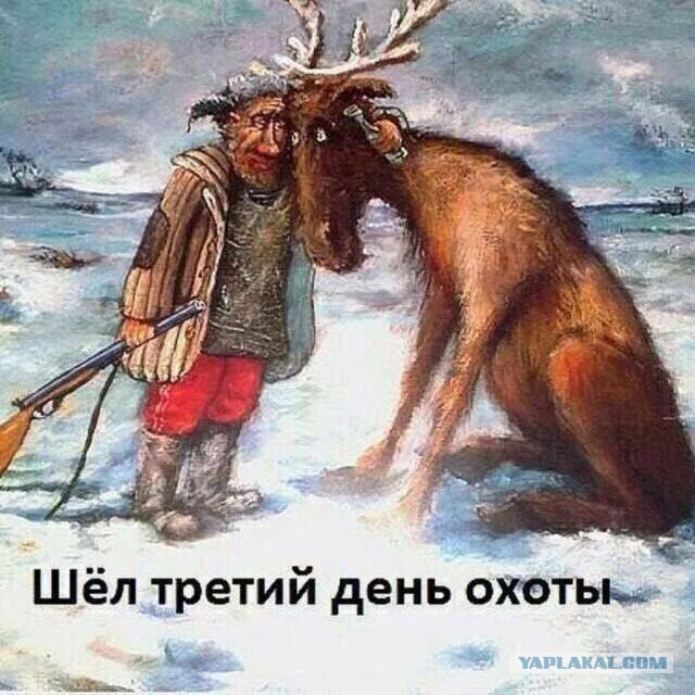 10739253.jpg
