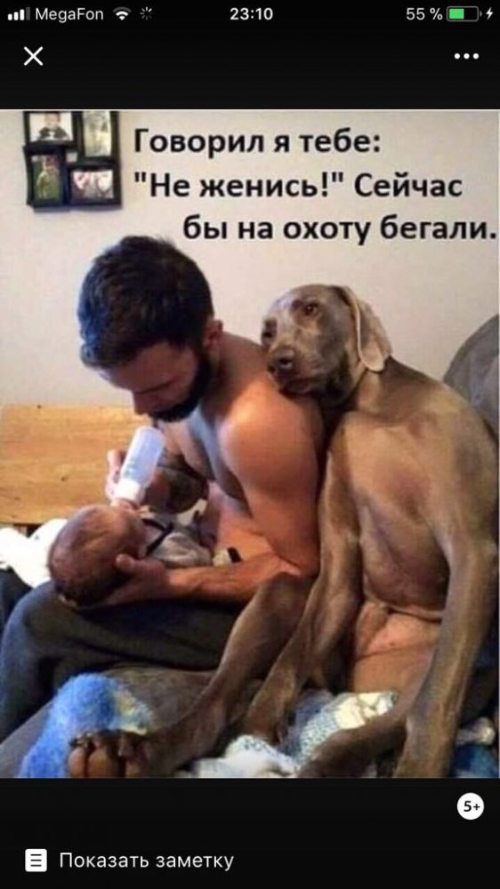 IMG-20171220-WA0002.jpg
