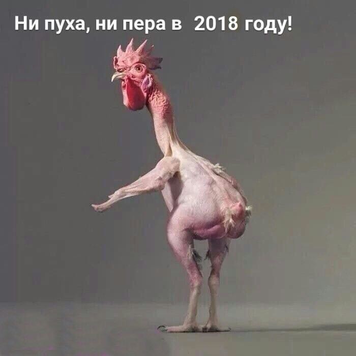 НПНП.jpg