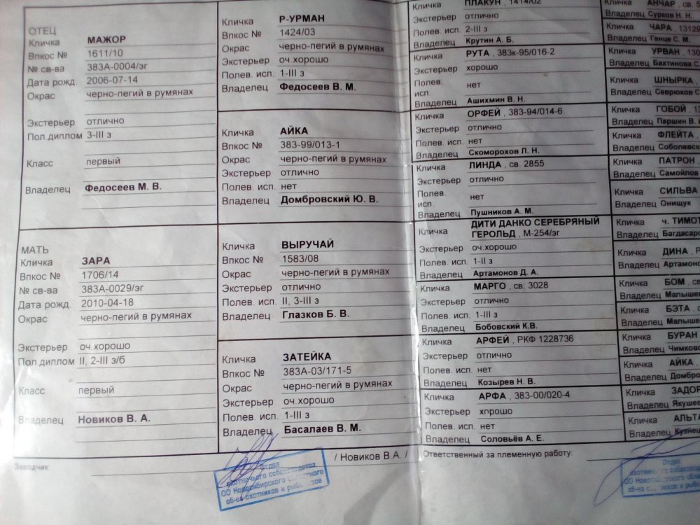 image (2).jpg