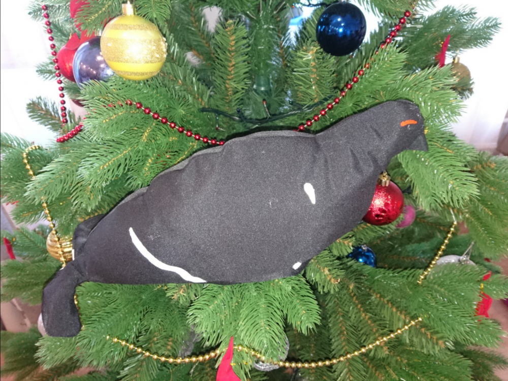 чучело в 1.png