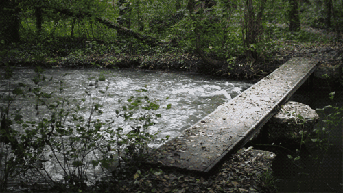 1515413690_02.gif