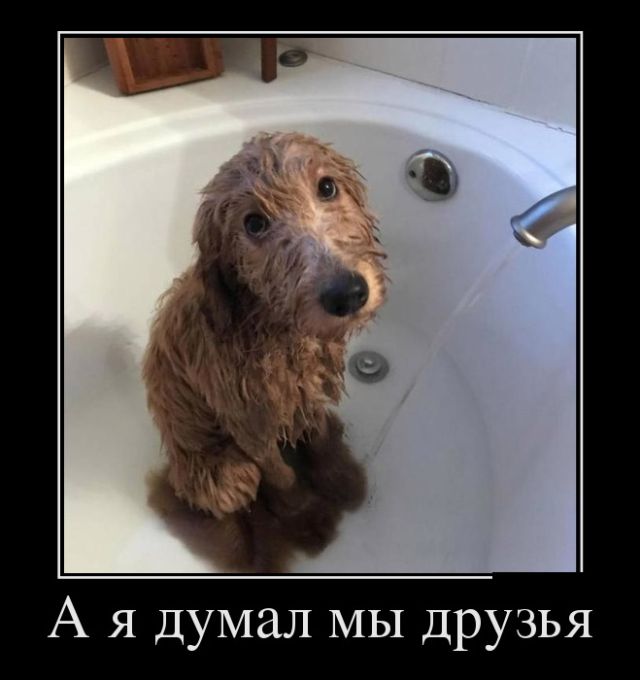 1515523163_011.jpg