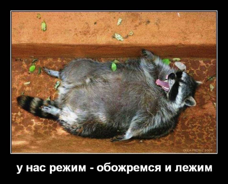 1371216319_demotivatori_s_bygaga-47.jpg