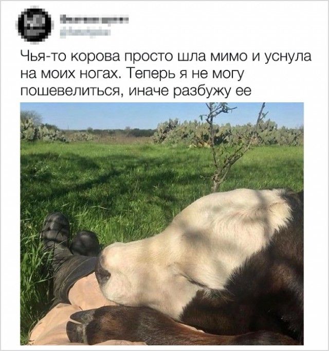 1516124031_036.jpg