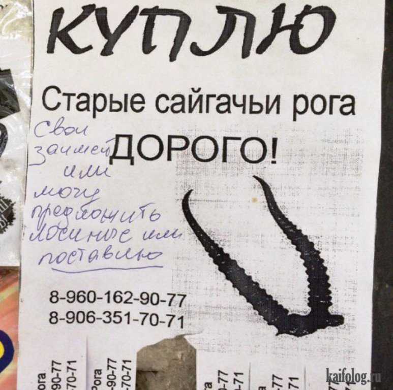 1474603054_002.jpg