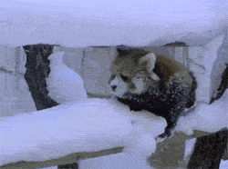 1517033961_06.gif