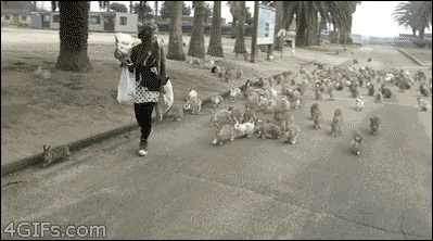 1517657328_11.gif