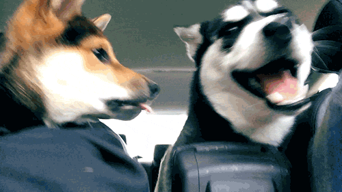1518352761_02.gif