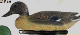 546194.jpg