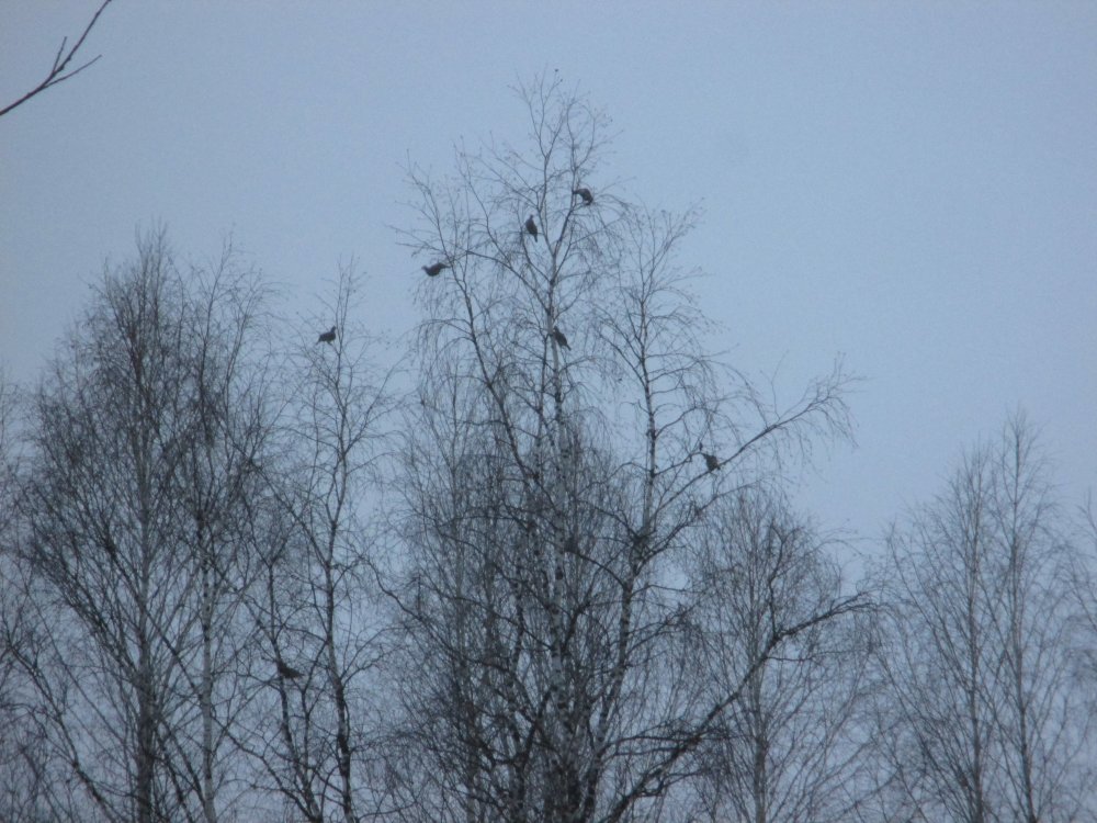 IMG_1690.JPG