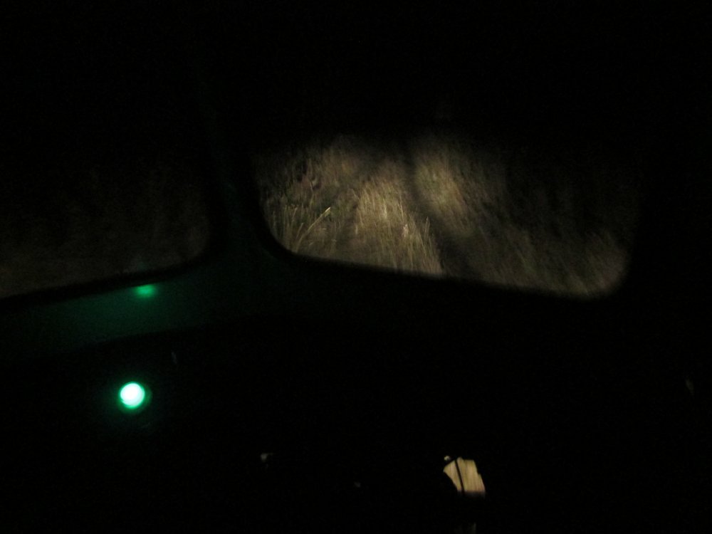 IMG_1454.JPG