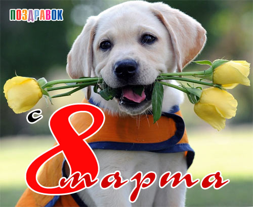 s-8-marta-pozdravok-ru.jpg