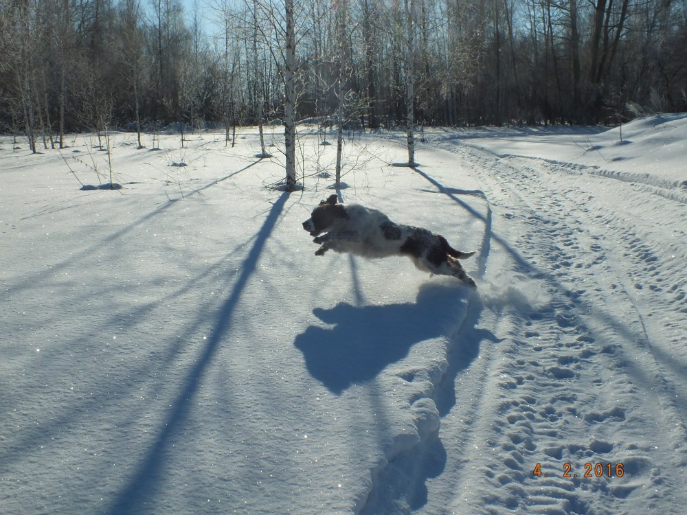 DSCF2510.JPG