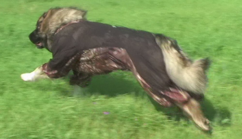 движения 4.jpg