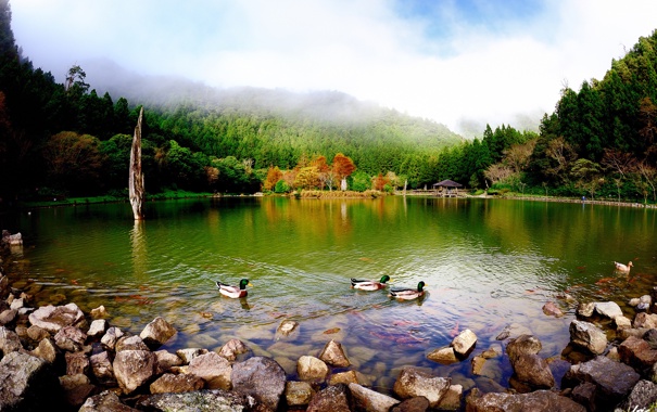 park-ozero-prud-utki-kamni-2853.jpg