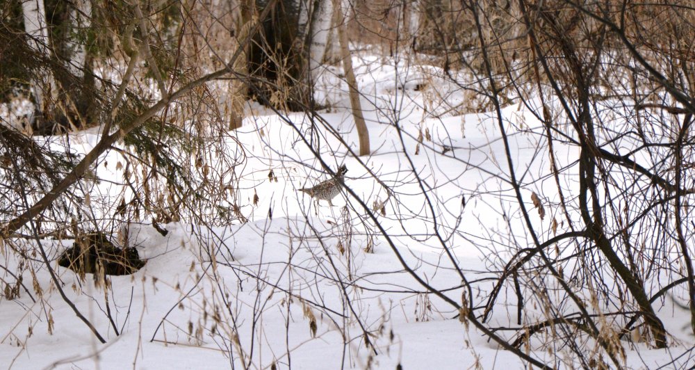 DSC_0070.JPG